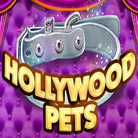 HOLLYWOOD PETS